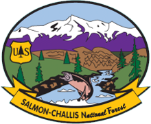 Salmon Challis National Forest